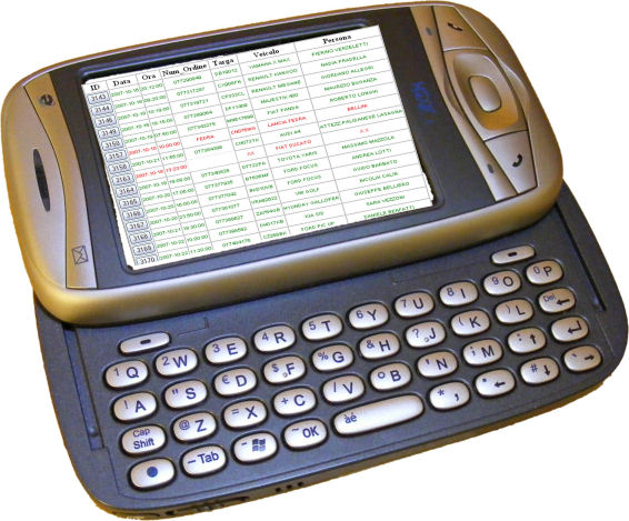 palm_2.png